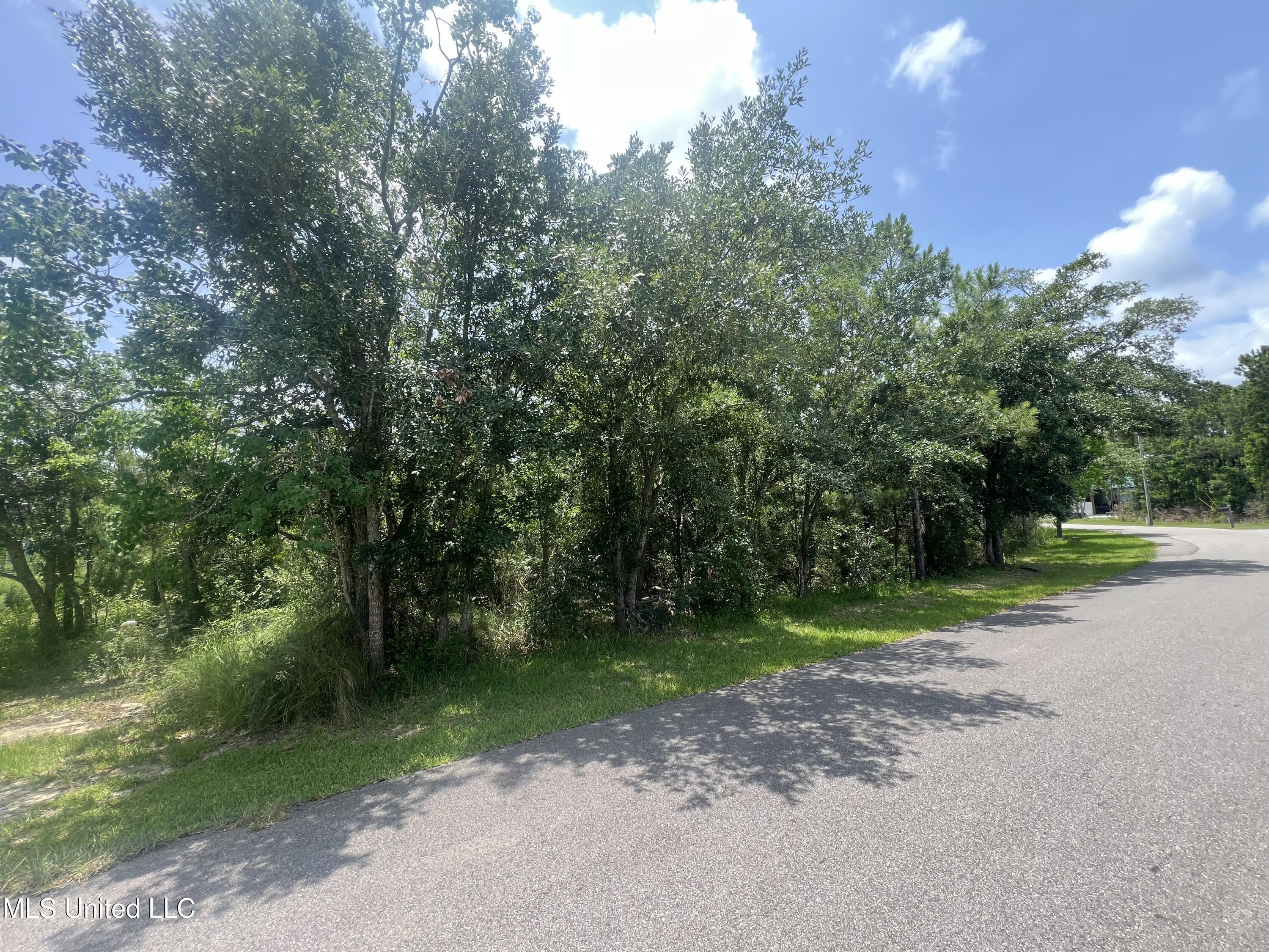 Nsn Indiana Street, Bay Saint Louis, Mississippi image 1