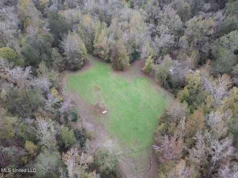 Homes For Sale - 14937 Highway 24 Lane<br/> Woodville, MS 39669