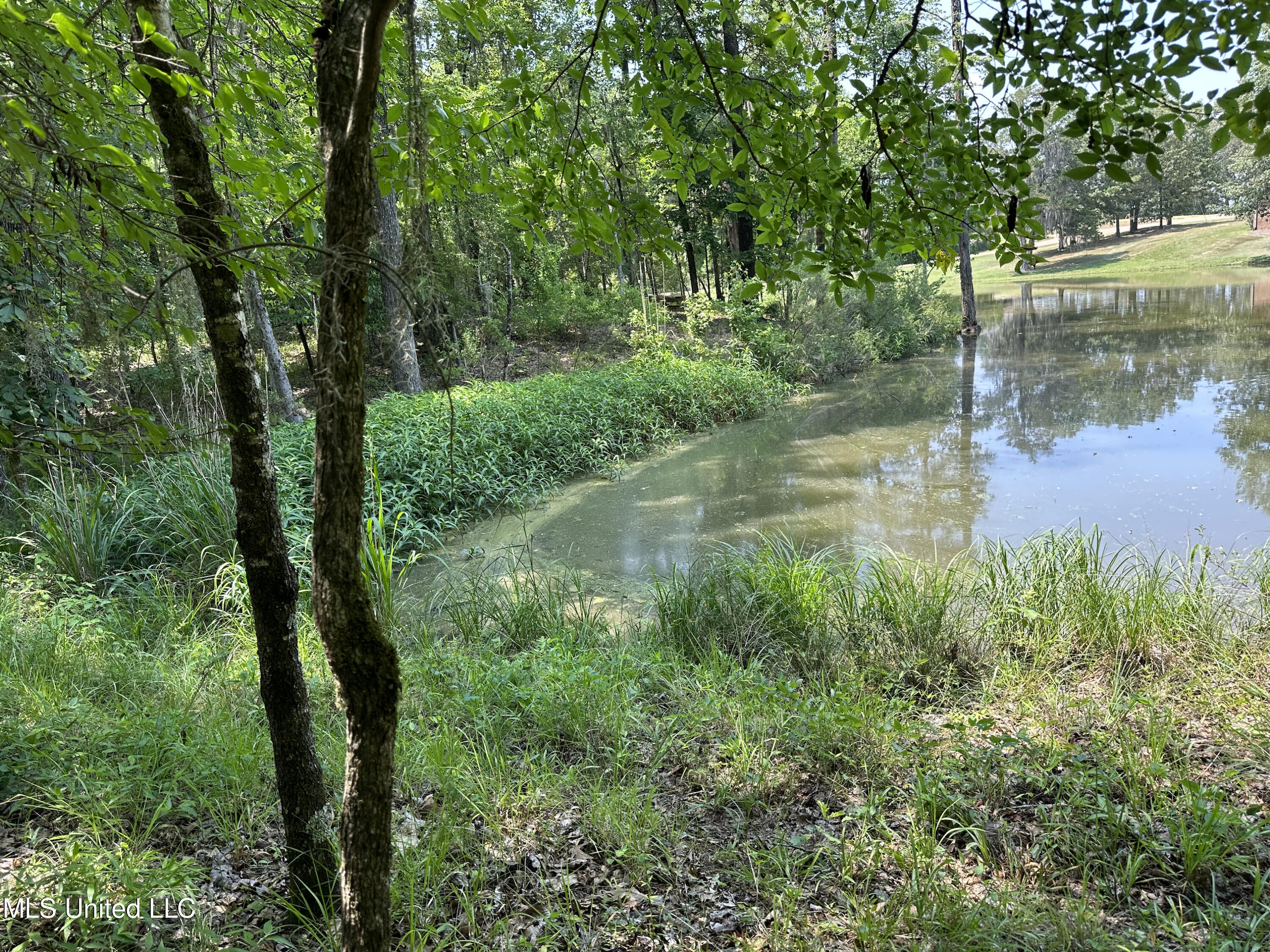 Bellemeade Drive, Clinton, Mississippi image 3