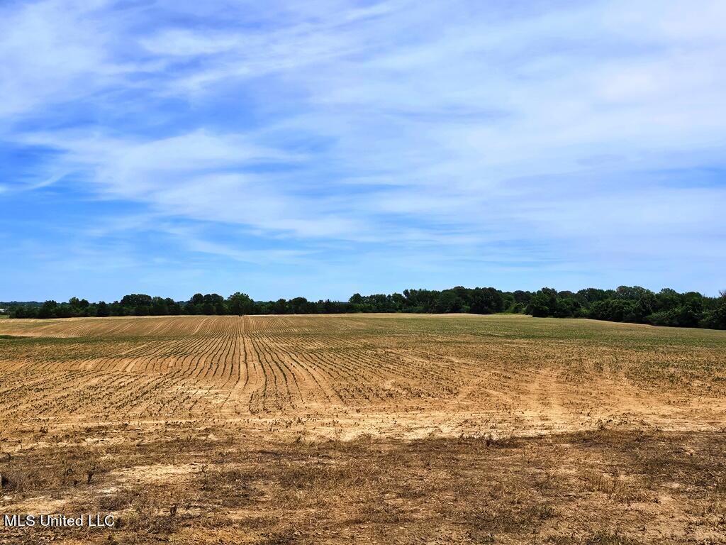 Shands Bottom Road Road, Senatobia, Mississippi image 3