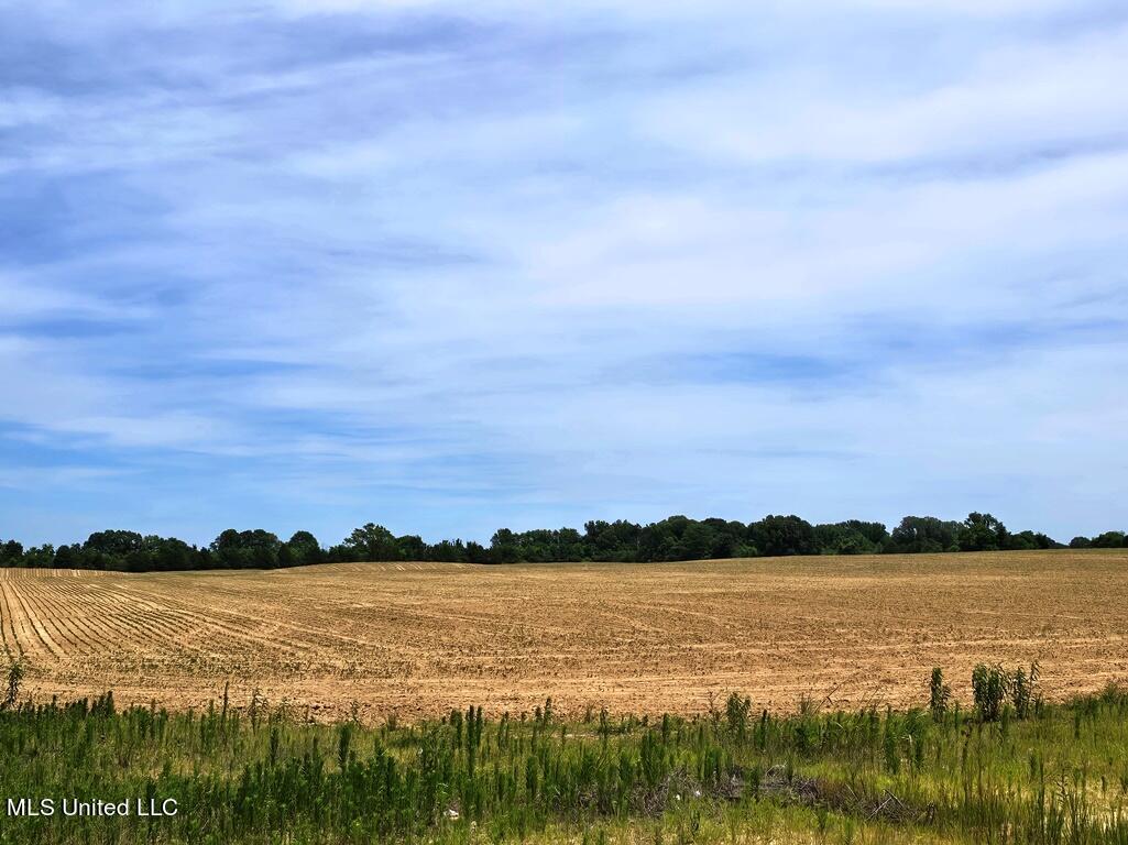 Shands Bottom Road Road, Senatobia, Mississippi image 1