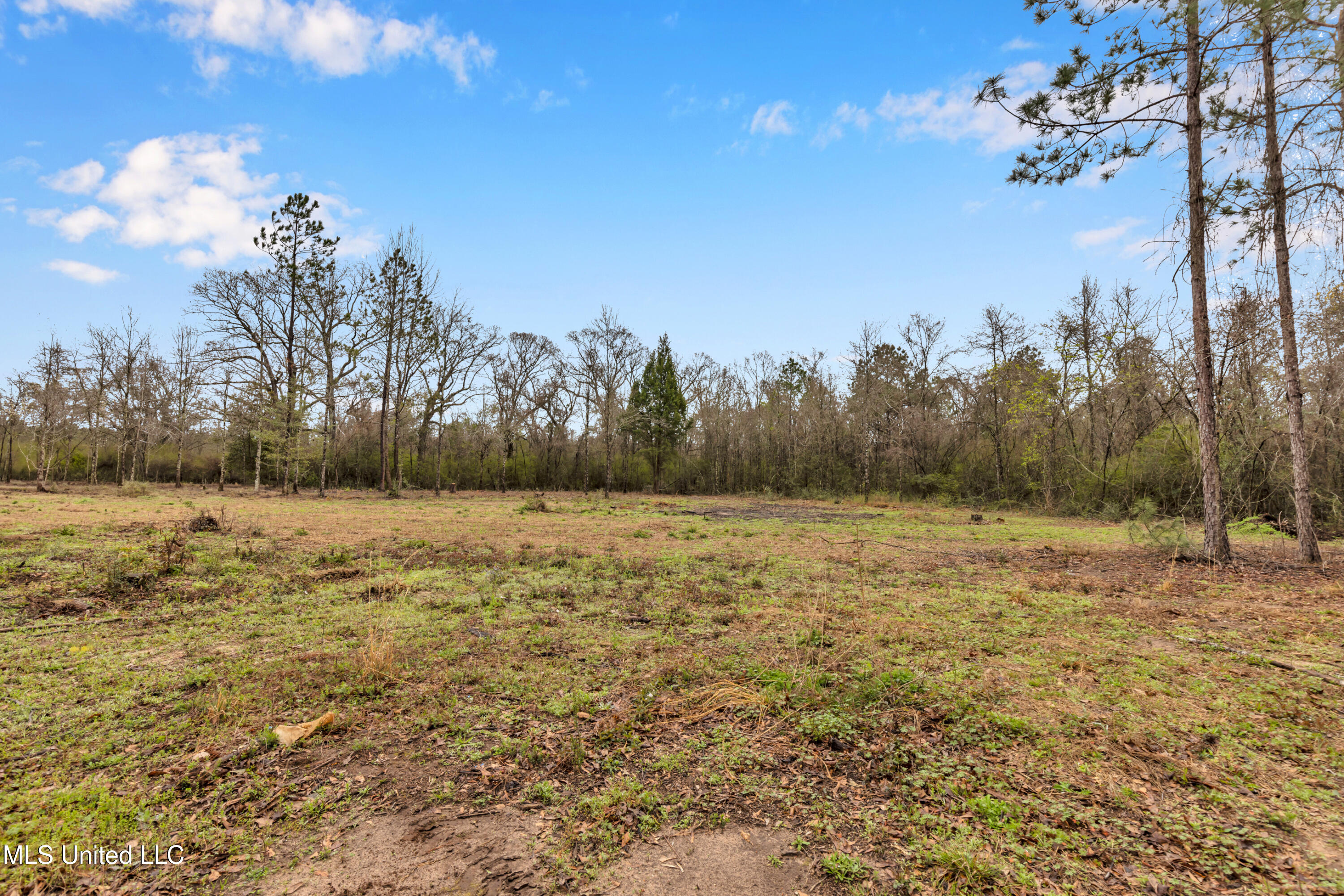 172a Albert Davis Road, Lucedale, Mississippi image 34