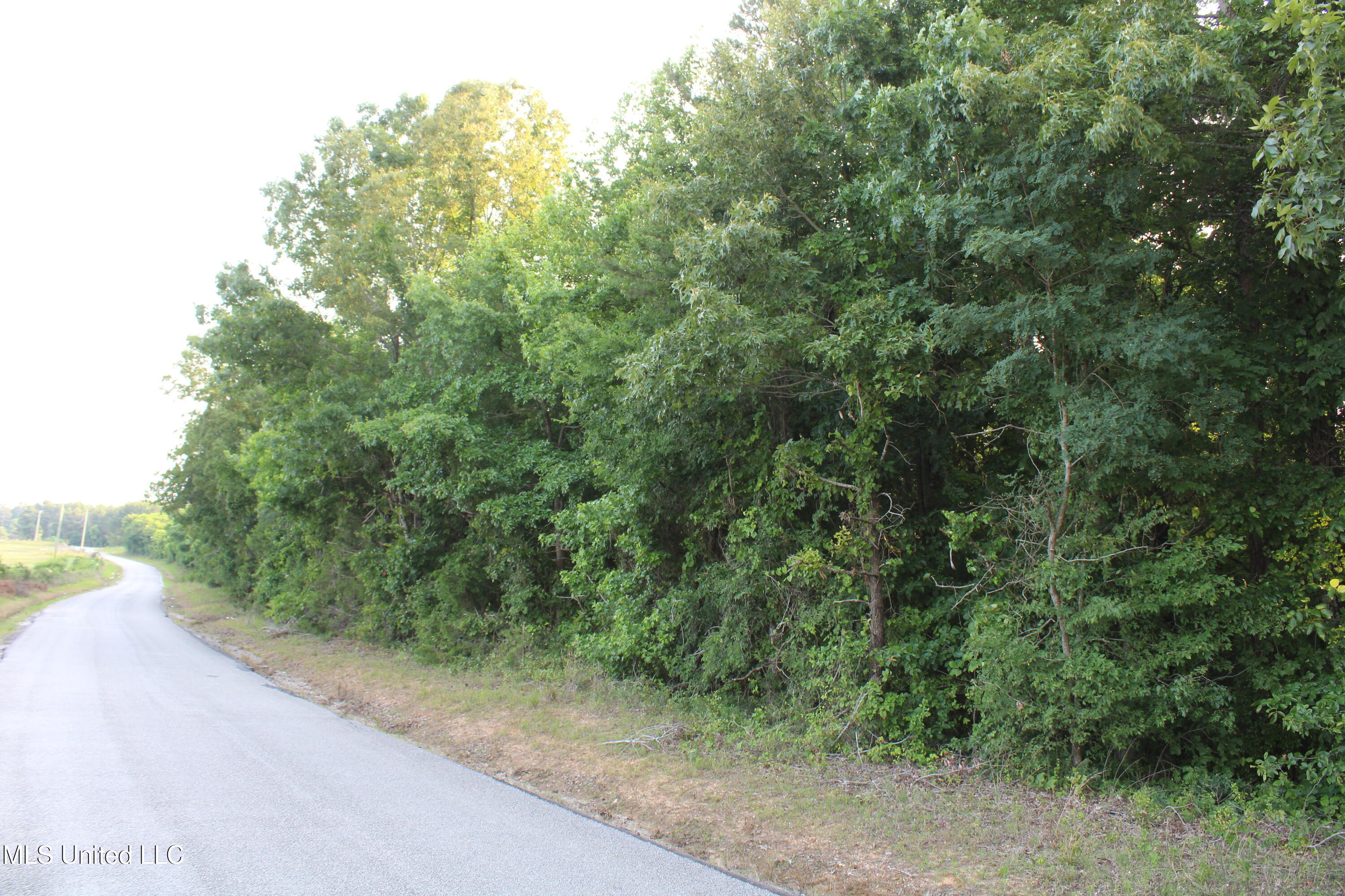 999 Whites Crossing Road, Ashland, Mississippi image 4