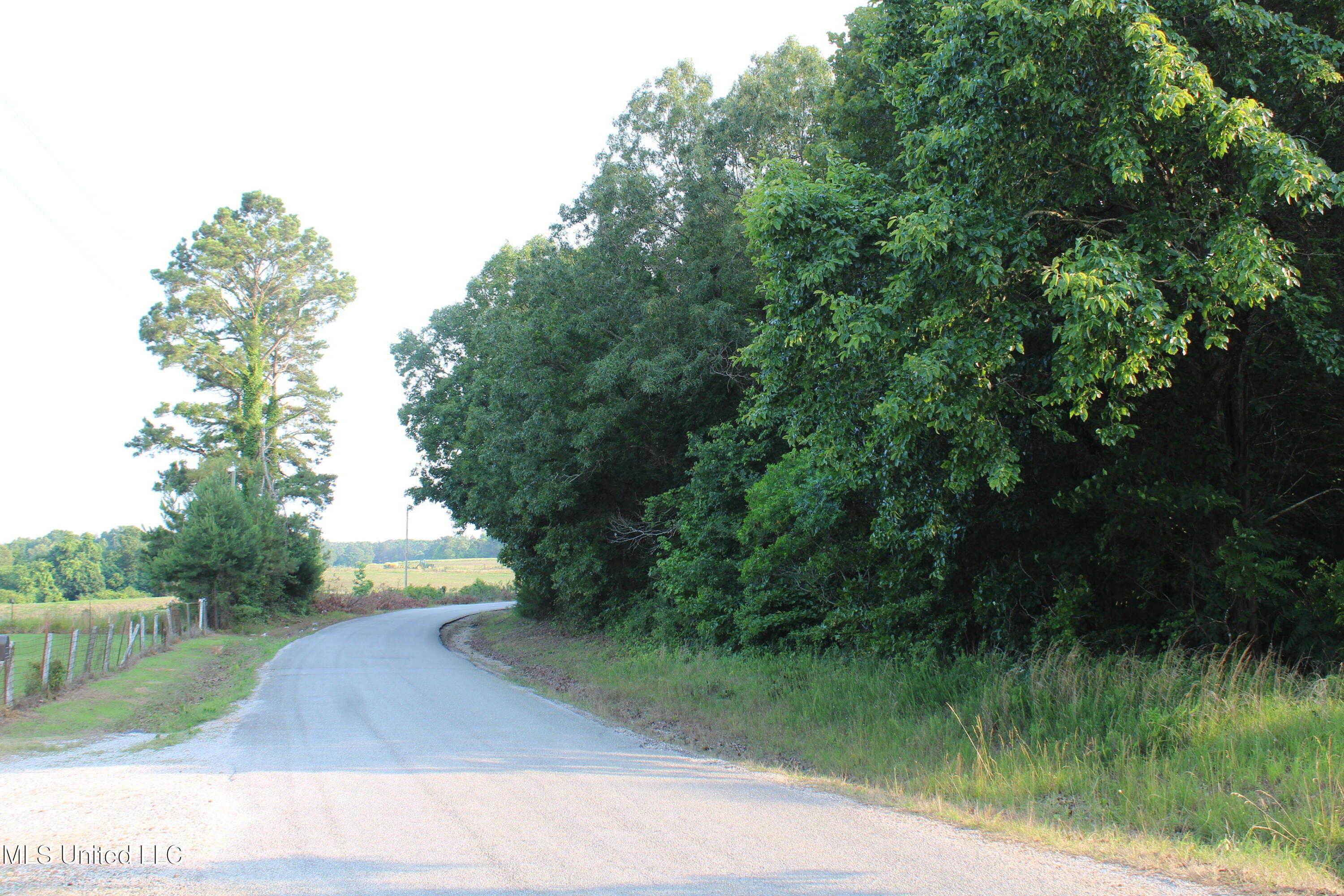 999 Whites Crossing Road, Ashland, Mississippi image 3