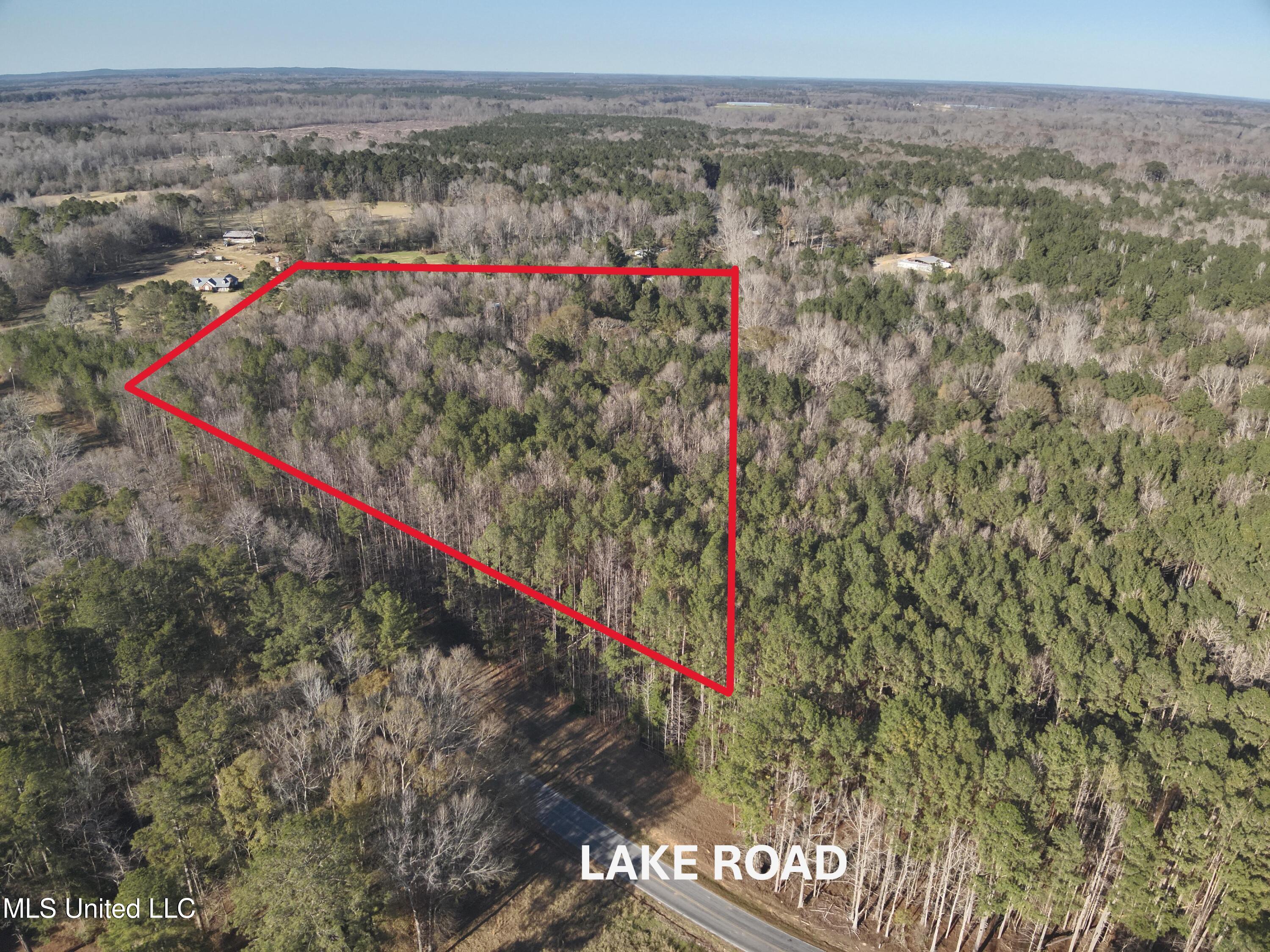 Lake Rd, Pelahatchie, Mississippi image 1