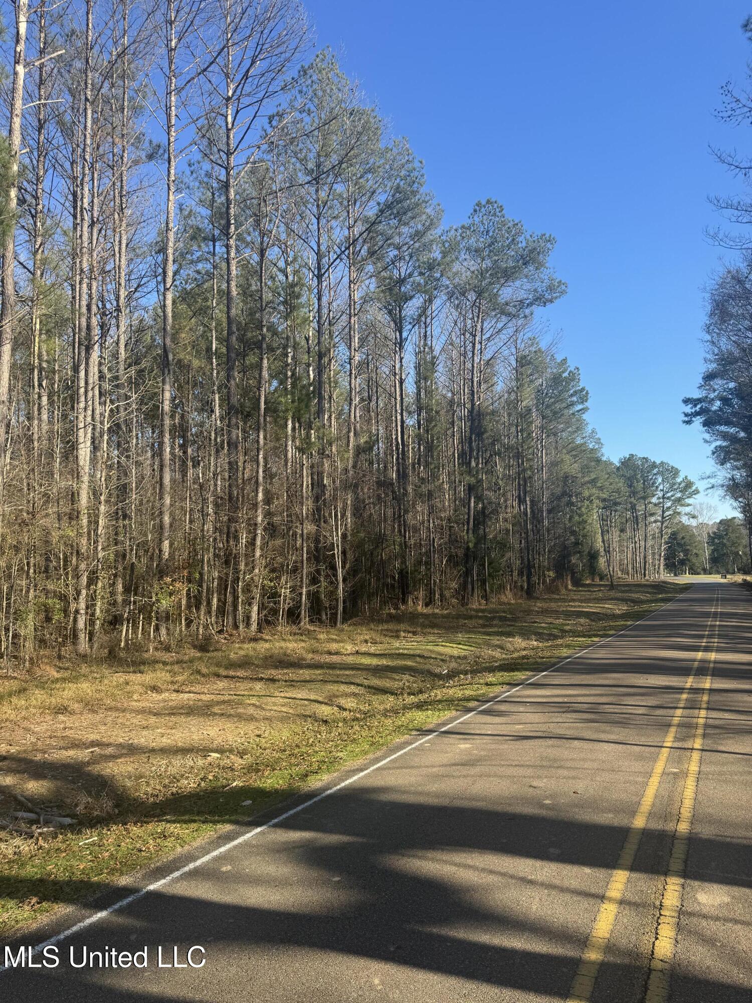 Lake Rd, Pelahatchie, Mississippi image 4