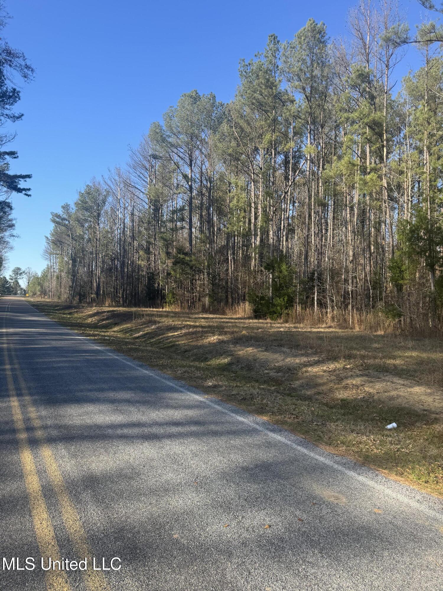 Lake Rd, Pelahatchie, Mississippi image 3