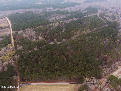 Homes For Sale - Bright Road<br/> Ackerman, MS 39735
