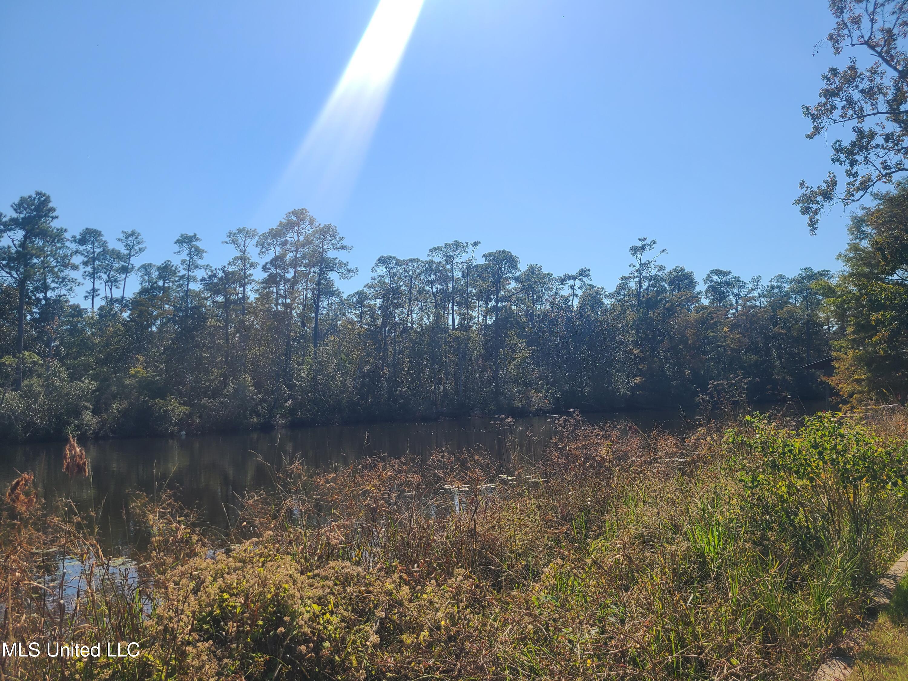 Sandbar Lane, Biloxi, Mississippi image 3