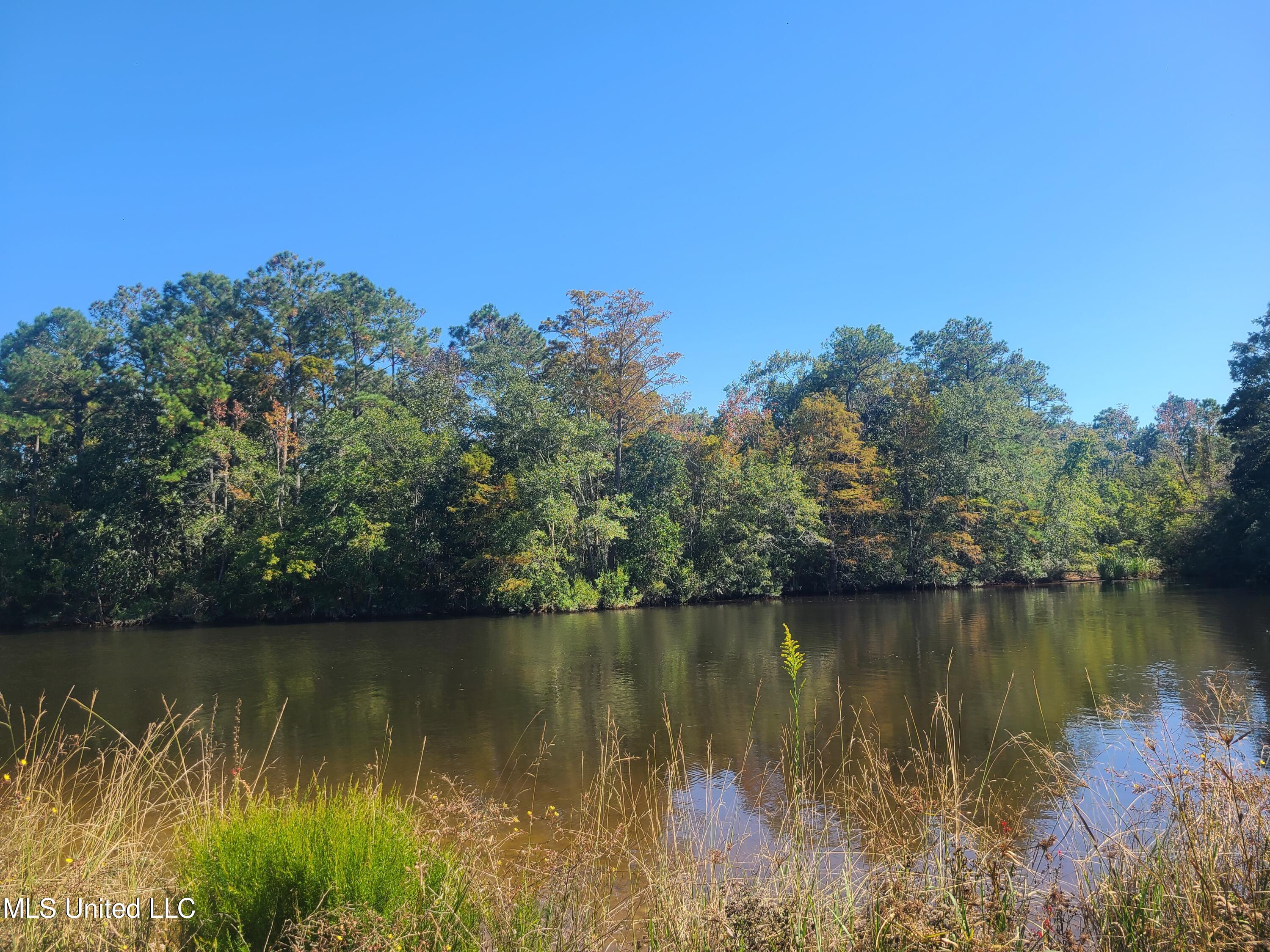 Sandbar Lane, Biloxi, Mississippi image 1