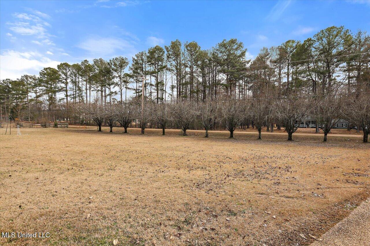 242 Green Oak Lane, Madison, Mississippi image 49