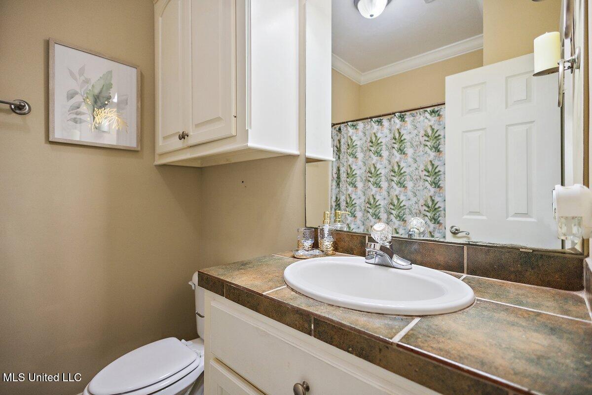 123 Sara Fox Drive, Brandon, Mississippi image 34