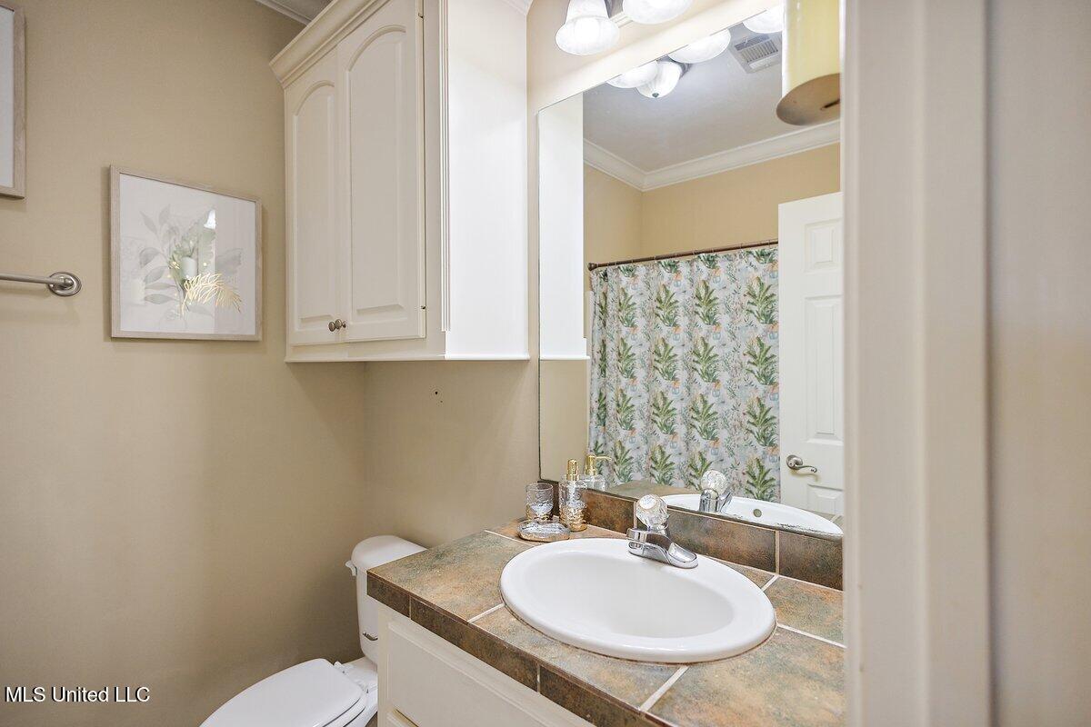 123 Sara Fox Drive, Brandon, Mississippi image 35