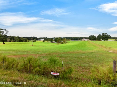 Vacant Land For Sale - El Shaddai Road<br/> Poplarville, MS 39470