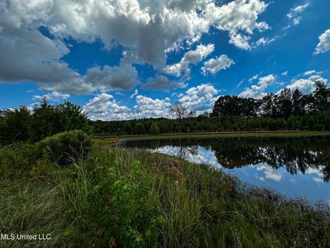 Vacant Land For Sale - 001 Hwy 46<br/> West Point, MS 39773
