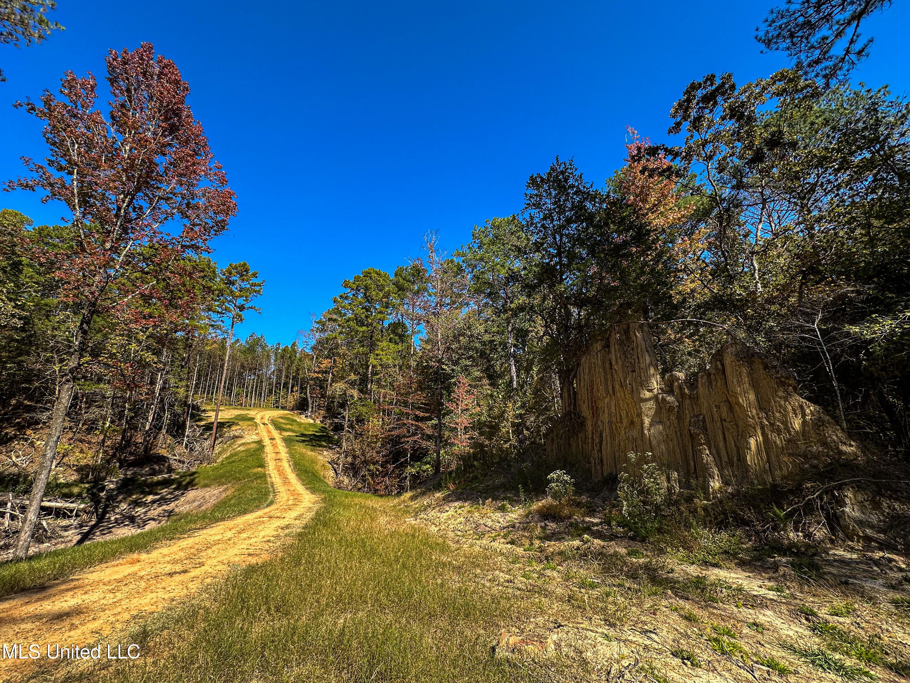 106 Crockrell Road, Lexington, Mississippi image 4