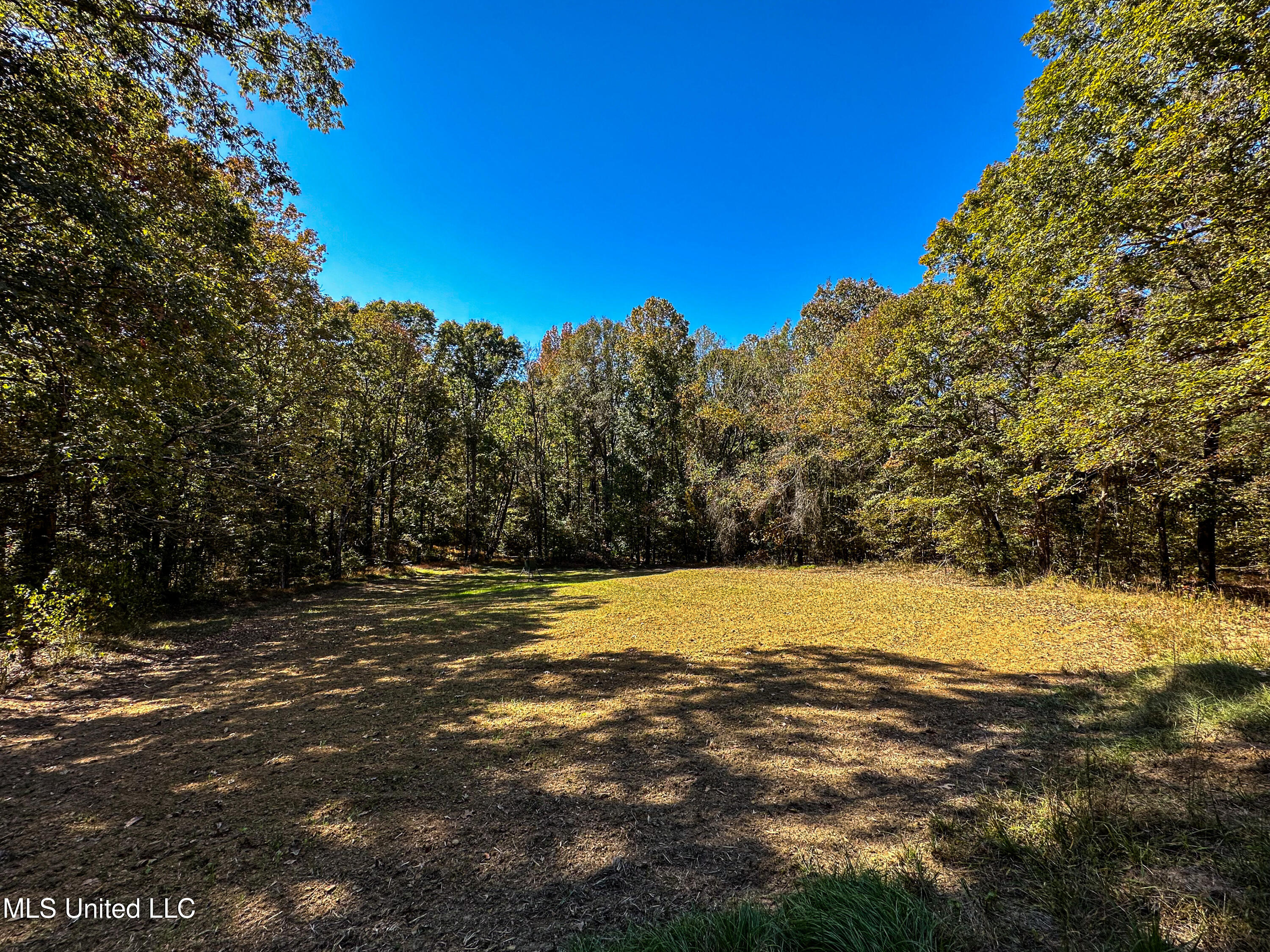 106 Crockrell Road, Lexington, Mississippi image 50