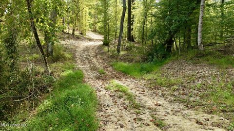 Vacant Land For Sale - 01 Abernathy Road<br/> Flora, MS 39071