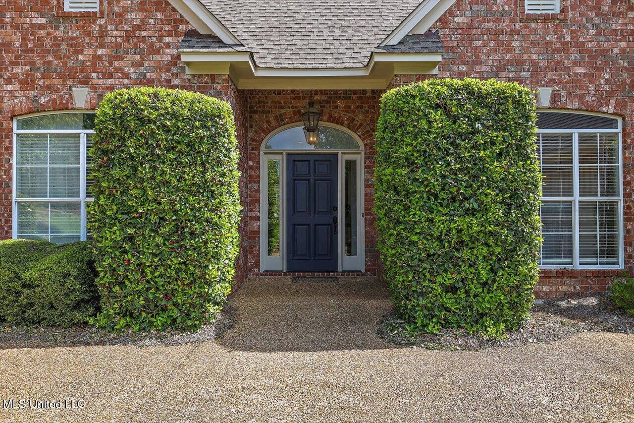 123 Linwood Drive, Brandon, Mississippi image 3