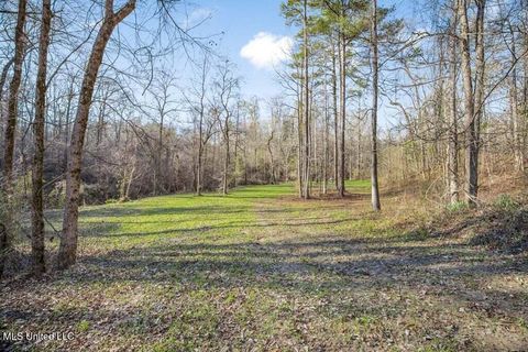 Vacant Land For Sale - 200 Robert Williams Road<br/> Lorman, MS 39096