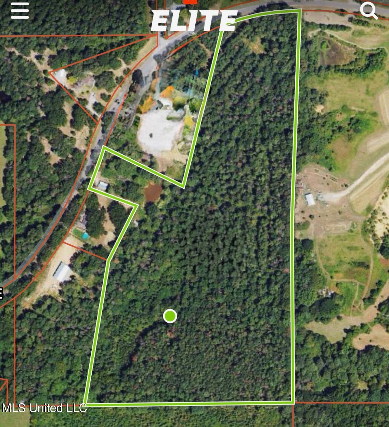Cooperville Road, Pelahatchie, Mississippi image 1
