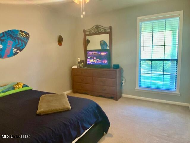 149 Martin Circle, Mendenhall, Mississippi image 22