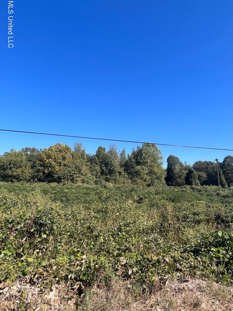 Vacant Land For Sale - Lucius Taylor Road<br/> Panola County, Como, MS 38619