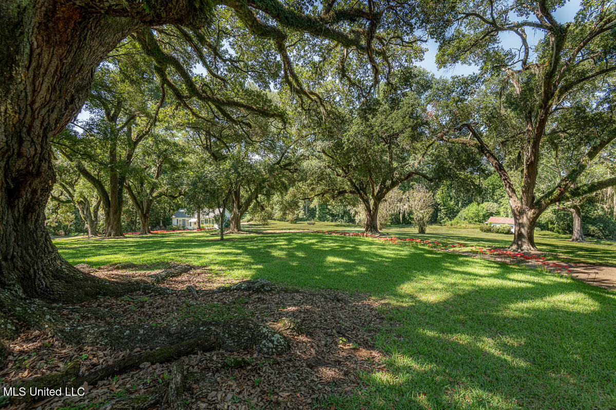 131 Winchester Road, Natchez, Mississippi image 5
