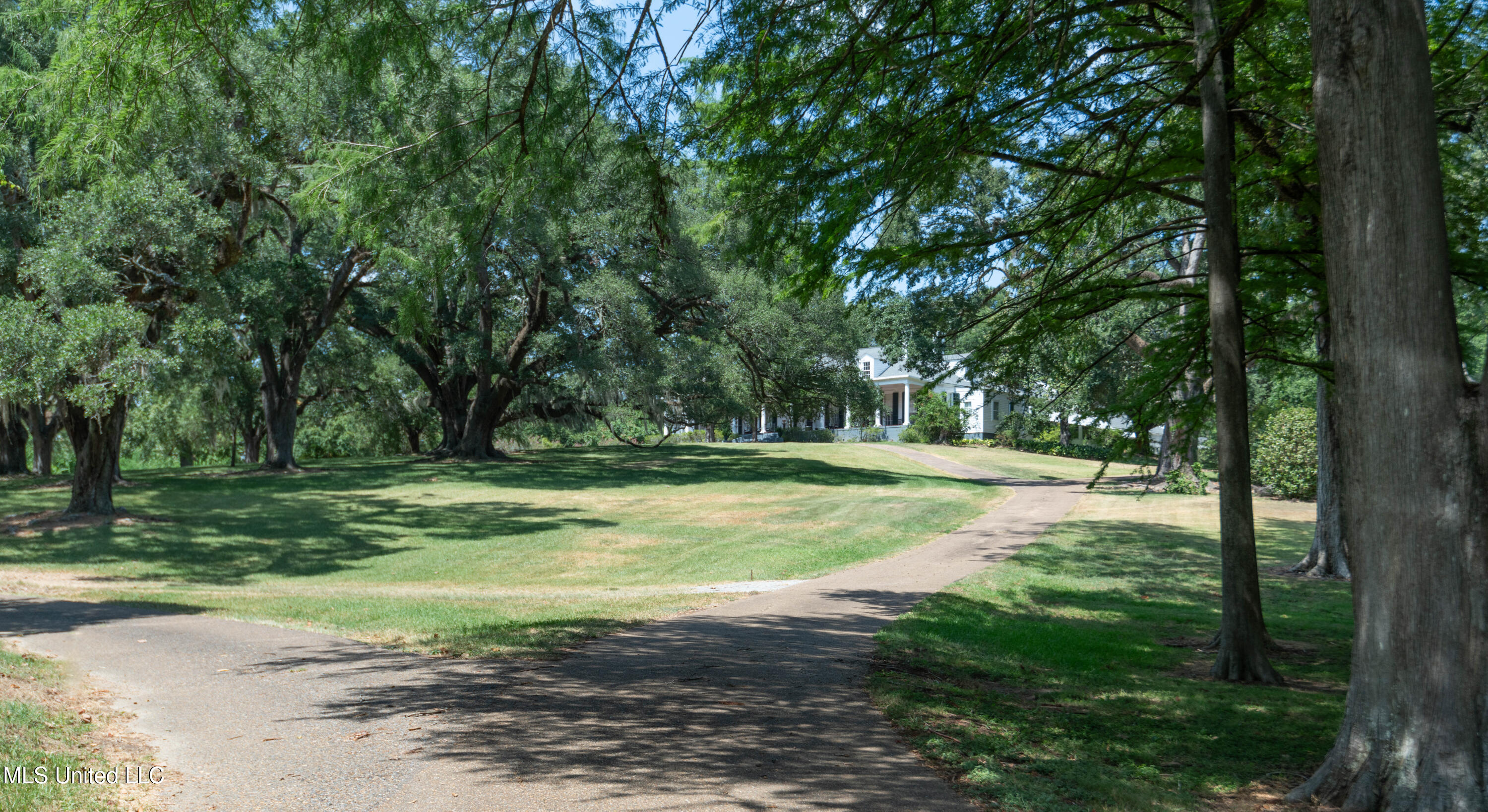 131 Winchester Road, Natchez, Mississippi image 11