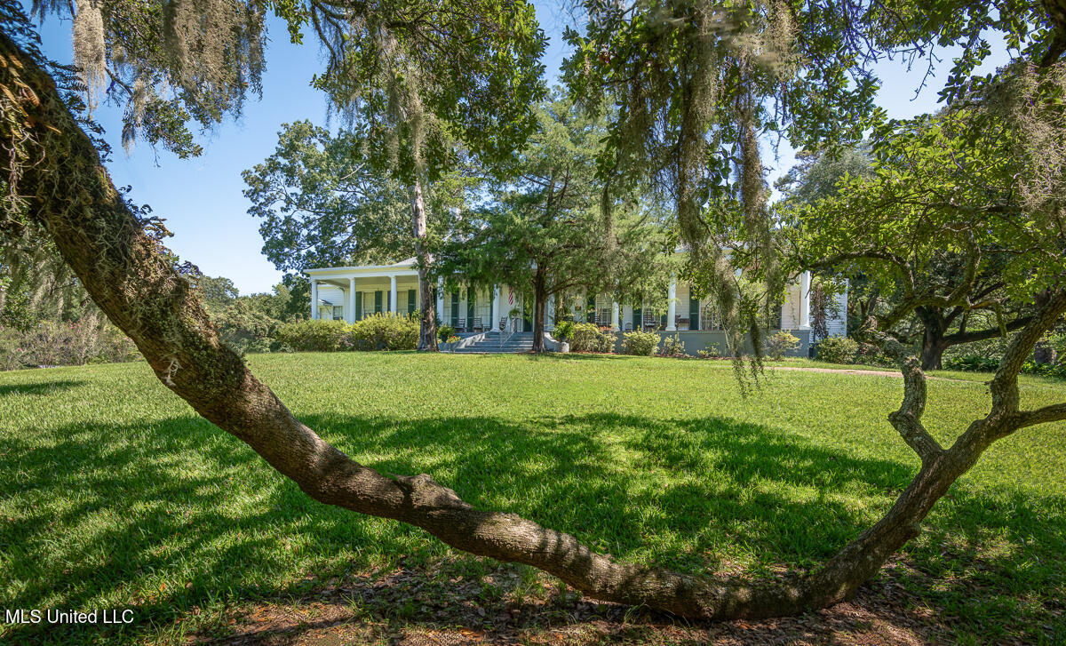 131 Winchester Road, Natchez, Mississippi image 4