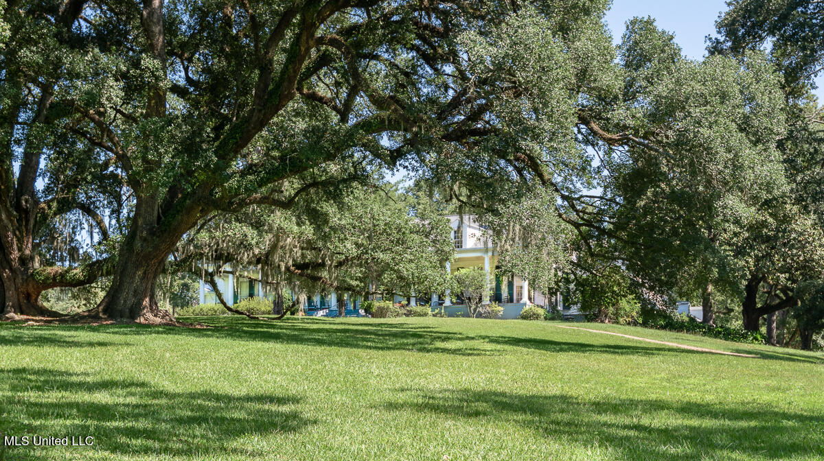 131 Winchester Road, Natchez, Mississippi image 9
