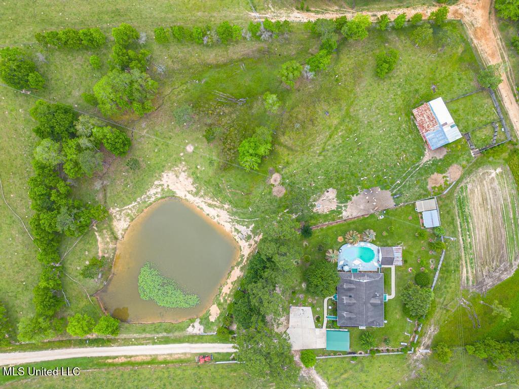 6048 Wendell Ladner Road, Perkinston, Mississippi image 6