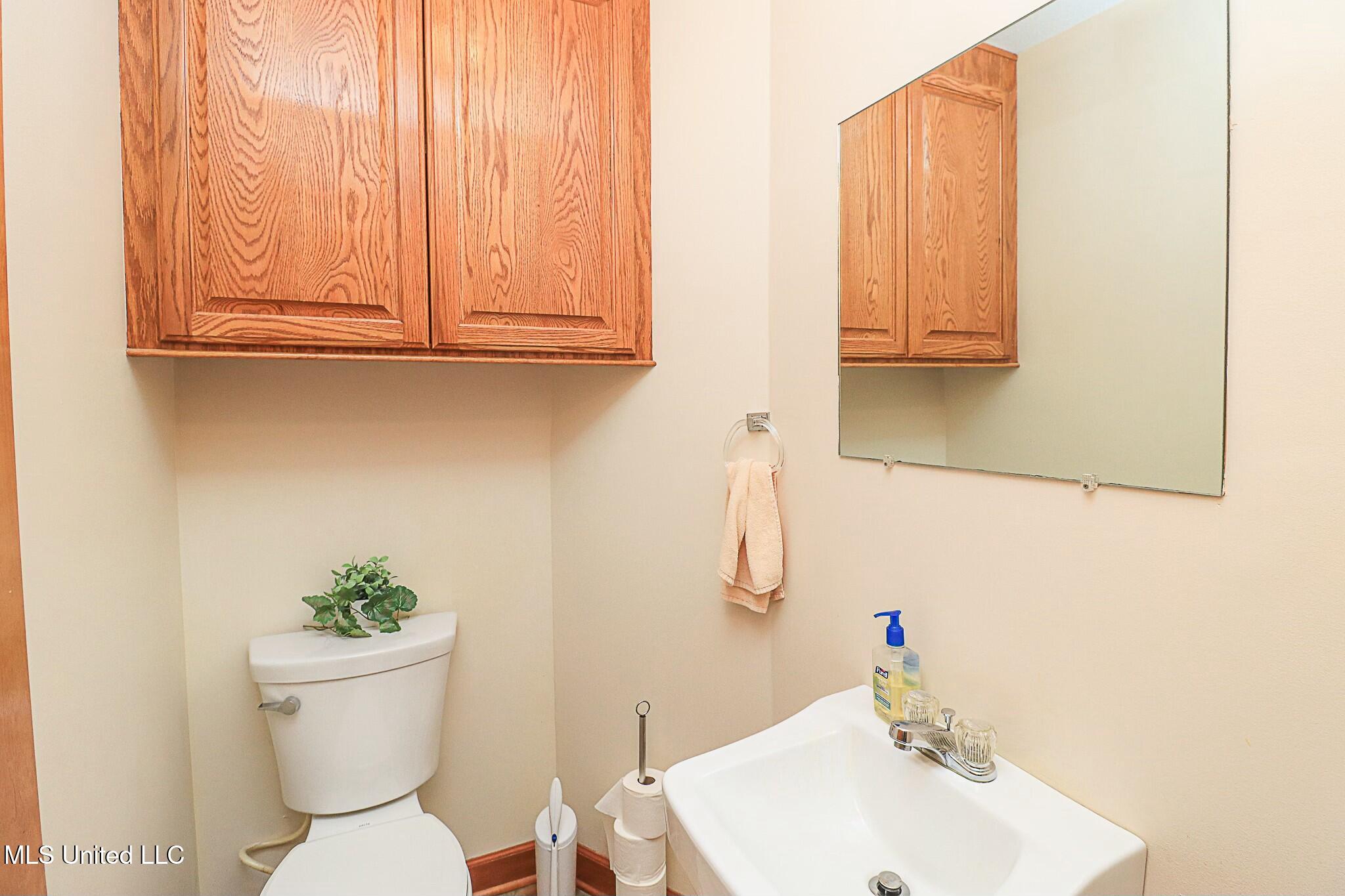 429 Rose Hill Road, Mendenhall, Mississippi image 18