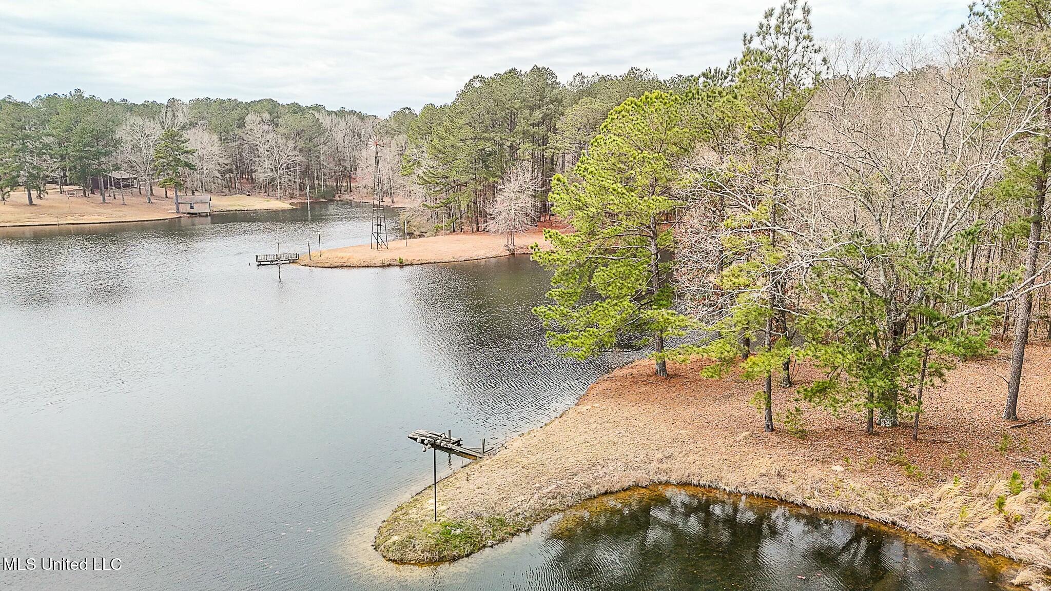 429 Rose Hill Road, Mendenhall, Mississippi image 6