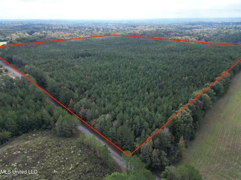 Vacant Land For Sale - Red Water Road<br/> Leake County, Carthage, MS 39051