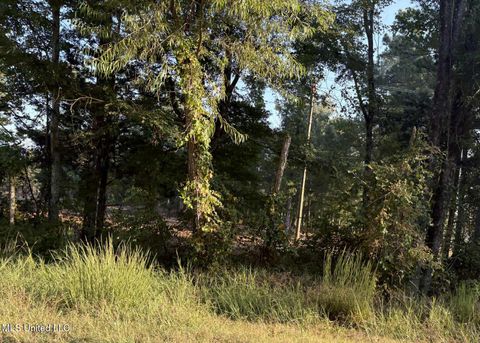 Vacant Land For Sale - 00 Highway 80<br/> Forest, MS 39074