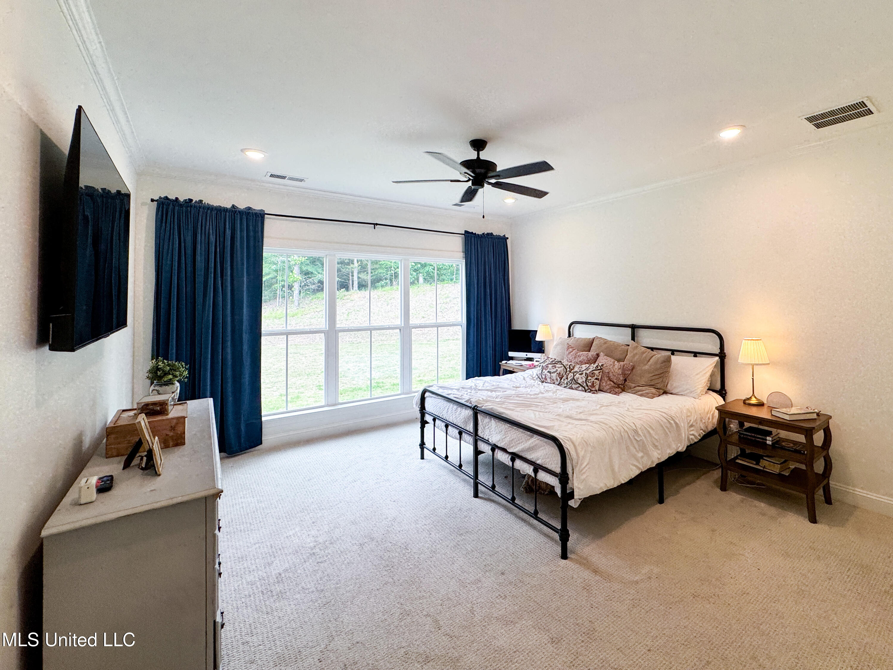 13033 Pebble View Drive, Byhalia, Mississippi image 11