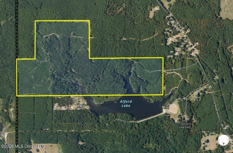 Vacant Land For Sale - 1107 Alford Lake Road<br/> Pike County, Osyka, MS 39657