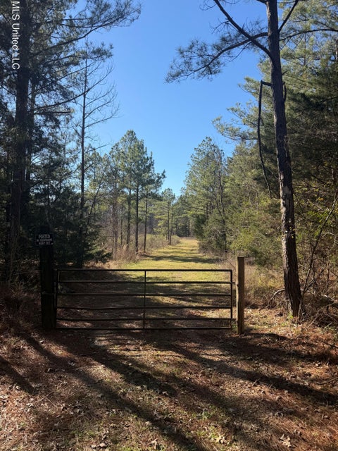 Vacant Land For Sale - Off Of Saint Augustine Drive<br/> Pearl, MS 39208