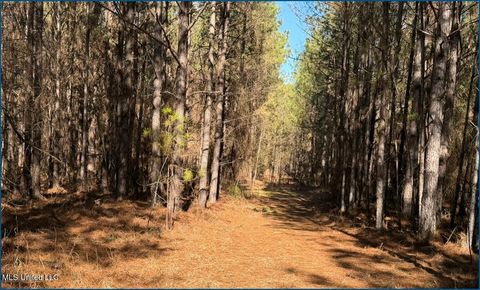 Vacant Land For Sale - County Road 2257<br/> Ethel, MS 39067