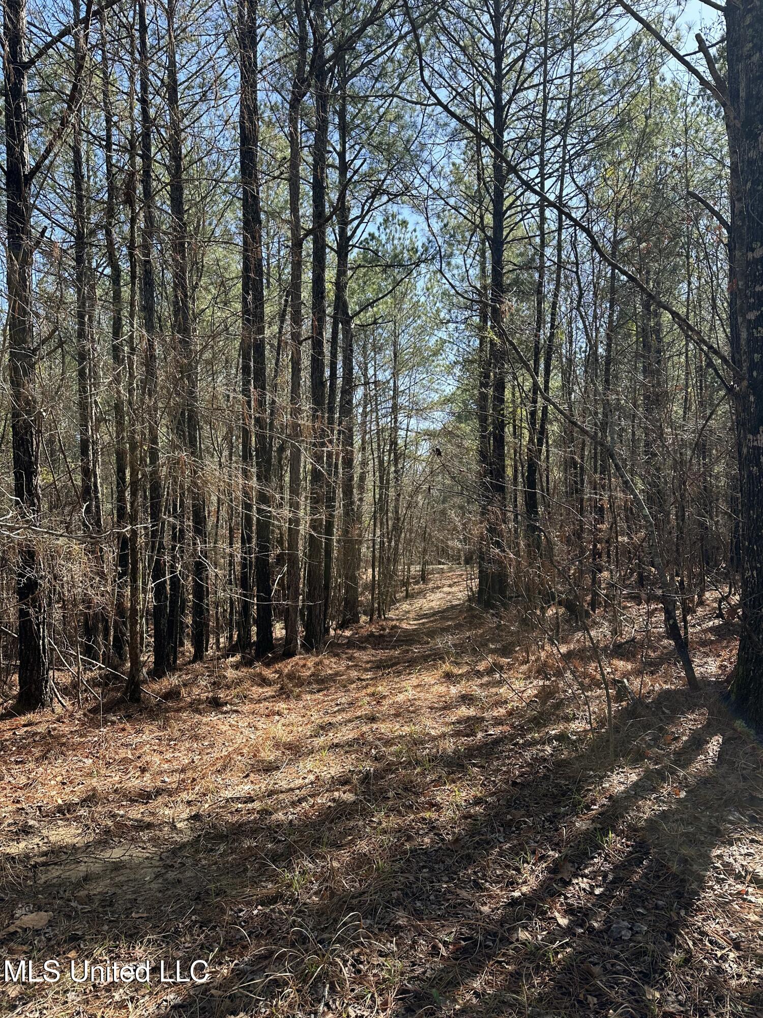 344 Hines Road, Camden, Mississippi image 32