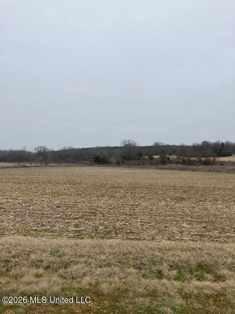 Vacant Land For Sale - 9002 LOT 3 Hudson Road<br/> Hernando, MS 38632
