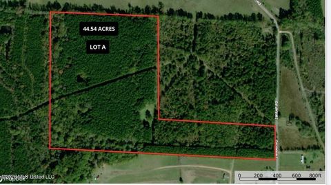 Vacant Land For Sale - Swamp Road<br/> Leake County, Carthage, MS 39051