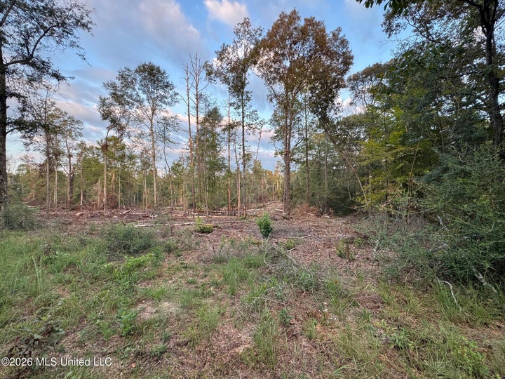 Photo 1 of 9 — Magnolia Pisgah Road, Summit, MS 39666
