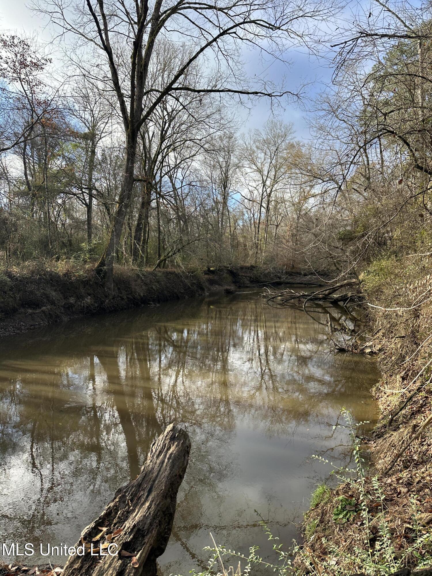 Off Highway 14, Kosciusko, Mississippi image 17