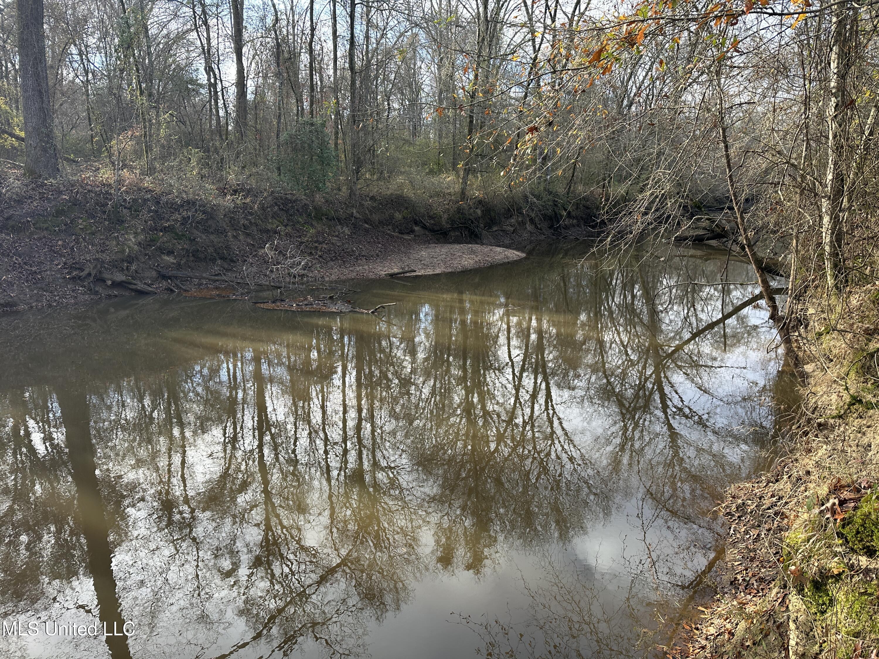 Off Highway 14, Kosciusko, Mississippi image 35