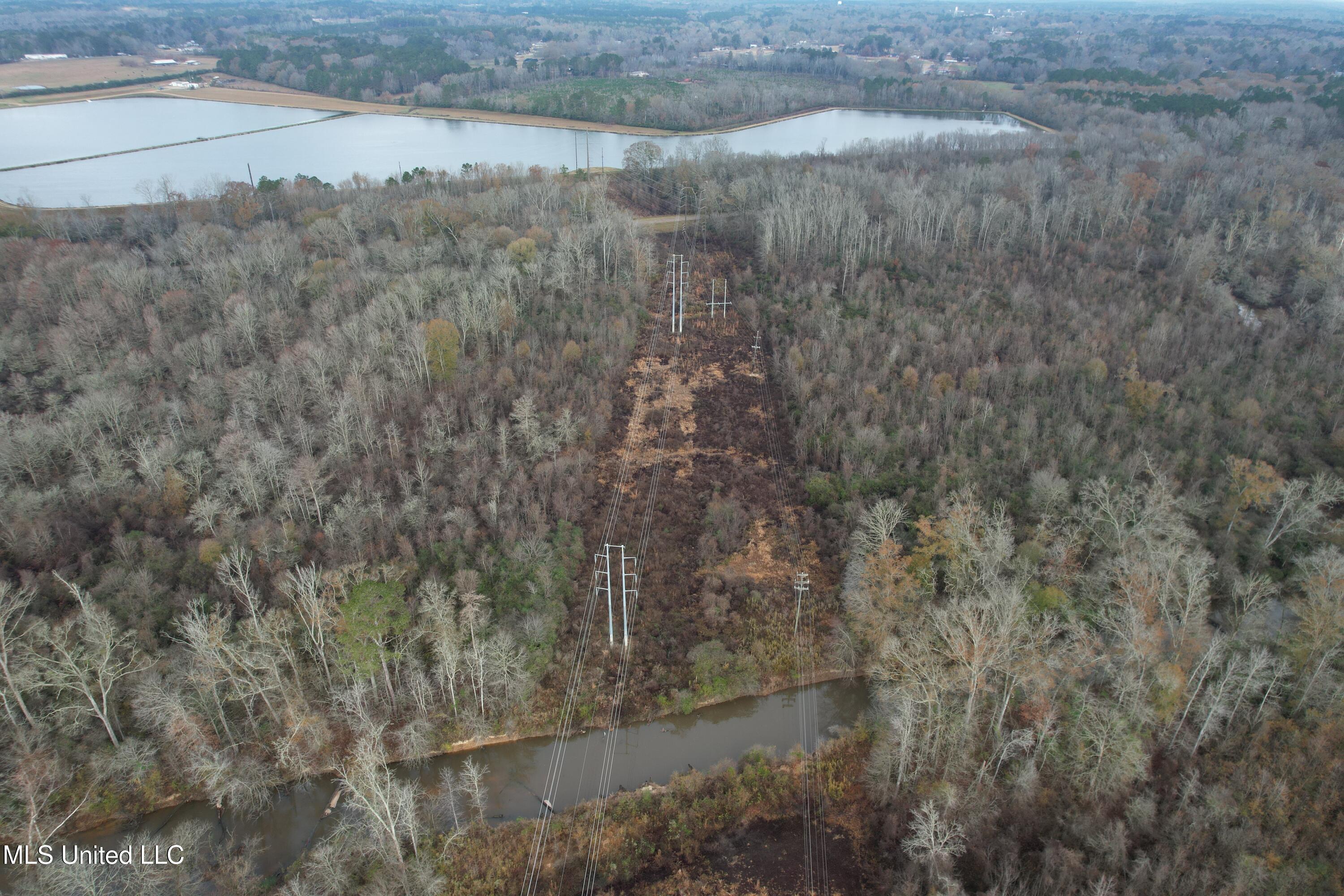 Off Highway 14, Kosciusko, Mississippi image 15