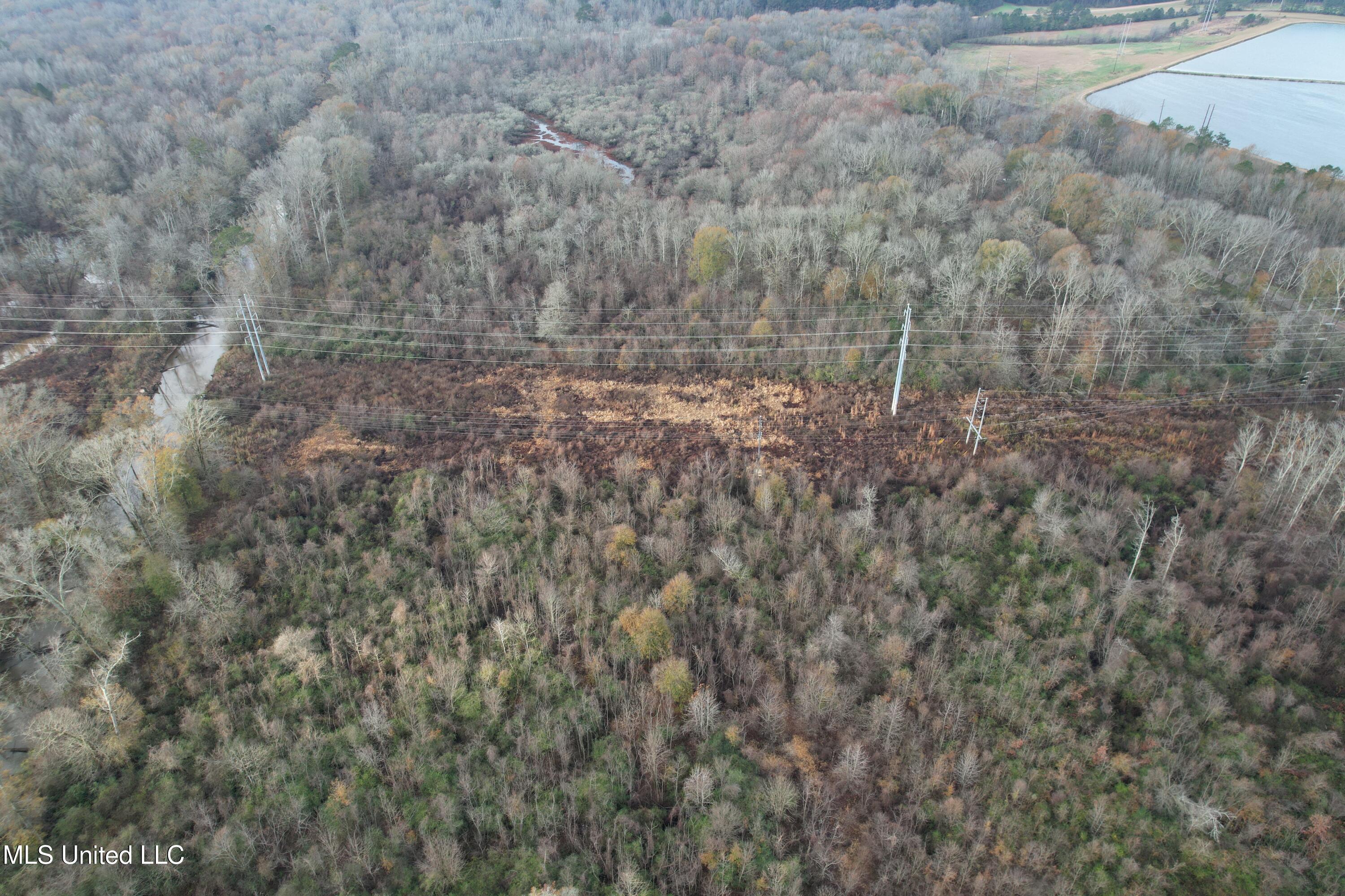 Off Highway 14, Kosciusko, Mississippi image 4