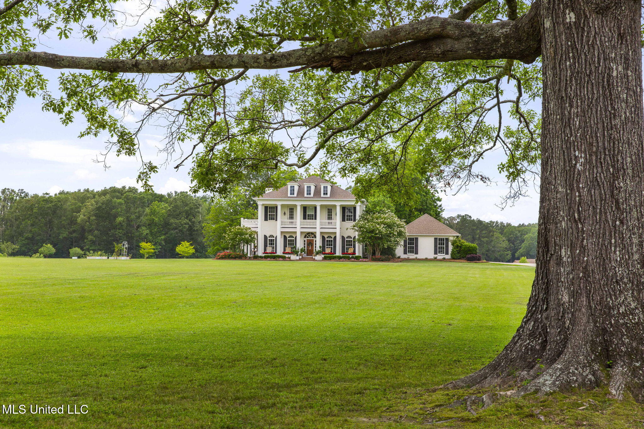 1053 Woodbridge Drive, Brandon, Mississippi image 1