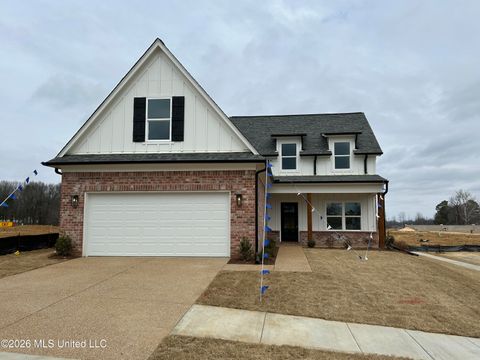 Homes For Sale - 6046 E River Birch Road<br/> Walls, MS 38680